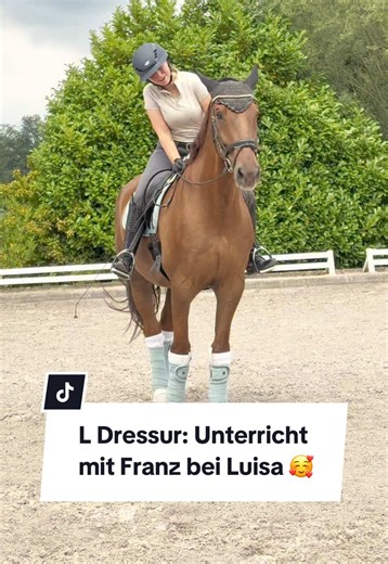 L Dressur Unterricht mit Franz bei Luisa — wer ist Luisa?