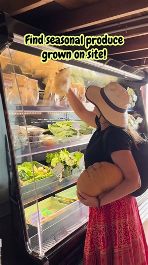 Eat fresh & local with Theodora Farms in Godfrey, IL! 🥕🍅 Find more info here: https://www.riversandroutes.com/directory/theodora-farms/ #EnjoyIllinois #RiversandRoutes #Spring #FarmDay #FreshFood #EatLocal #CleanEats | Great Rivers & Routes