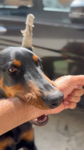 I won't pay you for eggs. #humor