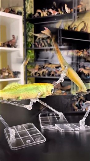 Part 2 Mesozoic marine reptiles and placodermi