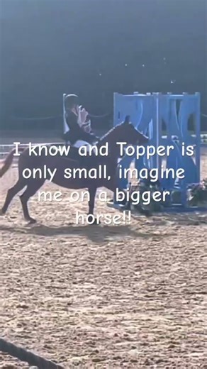 Prime!!@Fizz_Rules #horse #equestrian #horseenthusiast