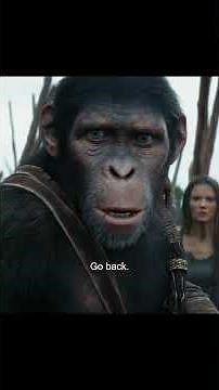 The movie Kingdom of the Planet of the Apes recapped