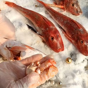 Very clean pebble beach | Pitogo High School Official