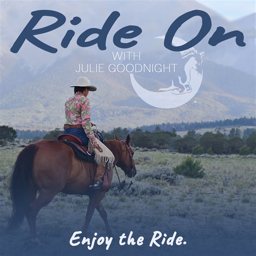 Understanding Separation Stress in Horses: Herd Bound, Barn Sour, or Just Social? - Ride On with Julie Goodnight