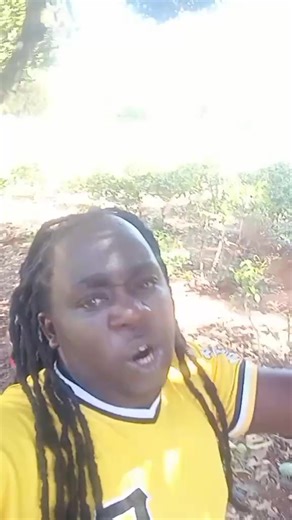 vetinary mweene (@ngocetv)’s videos with original sound - vetinary mweene