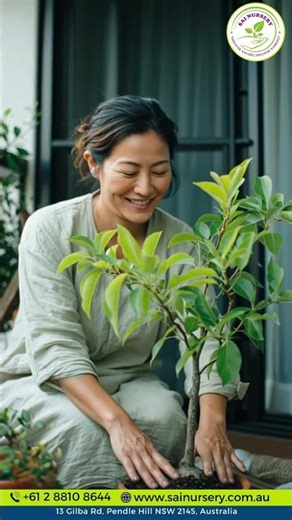 Grow Nashi Pear Nijisseiki at Home 🍐 Easy, Juicy & Perfect for Sydney Gardens