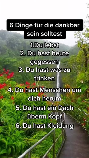 6 Dinge für die du dankbar sein solltest
