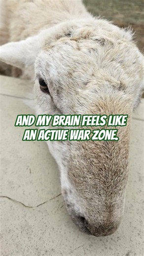 When the Intrusive thoughts are WINNING. This is what I do.
