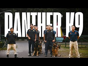 Panther K9 Force: A Glimpse Into Elite Dog Training & Demonstration"