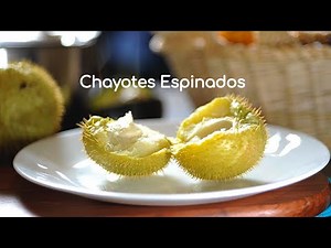 Chayotes with thorns, the easiest and most nutritious recipe you can imagine