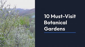 Top 10 Must-Visit Botanical Gardens