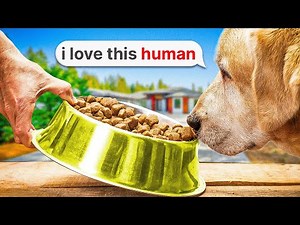 How Dogs Think | Psychology Of A Dog