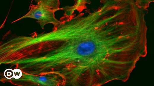 Nobel prize for a microscope