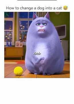 ・・・🎬The Secret Life of Pets