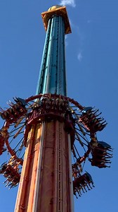 Fat Testing Falcon's Fury at Busch Gardens Tampa Bay for Plus Size Riders | Fat Tested Travel - Plus Size Disney