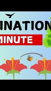 Pollination for Kids| Plant Pollination in Flowers‪@Learninglounge209‬