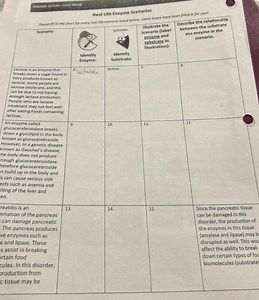 AMOIBA sistiks Voro wicenReal Life Enzyme ScenariosPlease fi... | Filo