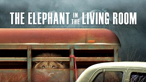 The Elephant in the Living Room - Apple TV