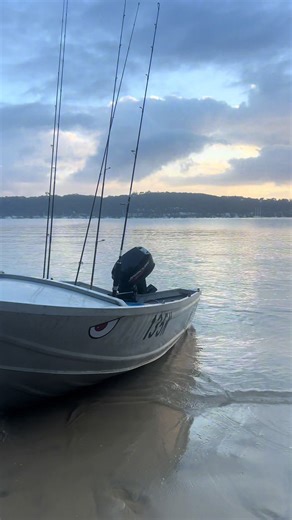 @Henry @𝖍𝖊𝖓𝖗𝖞 @Jethro_fishing @harvey_boon @Archie robinson @teddy.hent¥ @Taylor