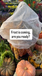 Keep your garden cozy all winter long! #winterweather #frost #merrifieldgardencenter #gardening #gardenlife #garden #plantslover #plantsplantsplants | Merrifield Garden Center