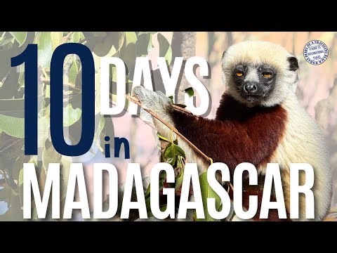 10-Day Madagascar Itinerary | From Antananarivo to Andasibe