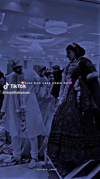 Traditional Punjabi Wedding Ceremony Highlights