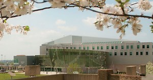 Faculty and Staff Honors and Awards