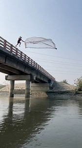 Amazing castnet throw from the rood bridge #reelschallenge #CastNetFishing #villagelife #reels #fishing #riverfishing #Amazing #bigfish #castnet | BD fishing world