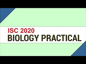 Solution of ISC 2020 Biology Practical - Important Suggestions