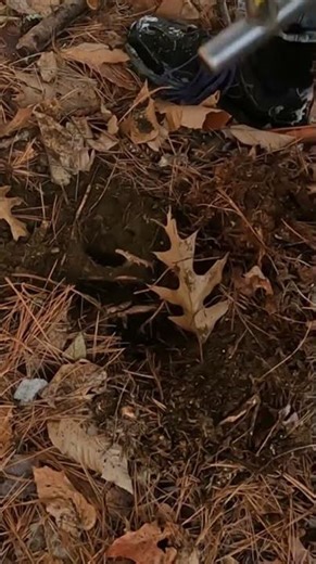 Short #214 - If the shoe fits.... Metal Detecting with the Nokta Makro Simplex. #metaldetecting