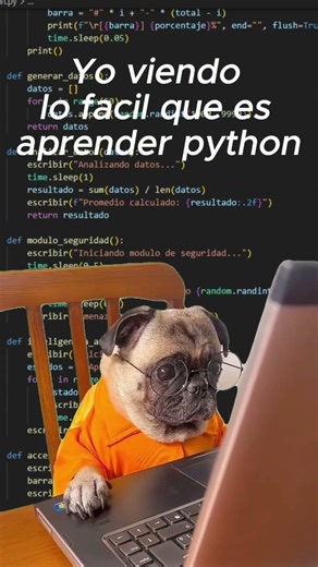 Cuando crees que aprender Python es fácil… 🐍💻 #shorts