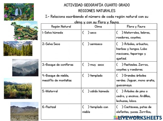 Regiones naturales en méxico worksheet