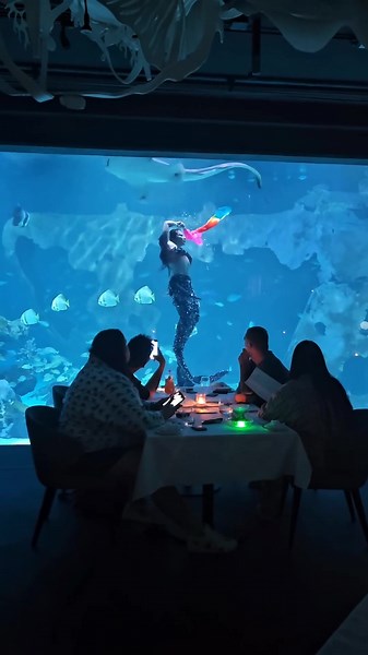 Dine With Mermaids in Phuket's Underwater World