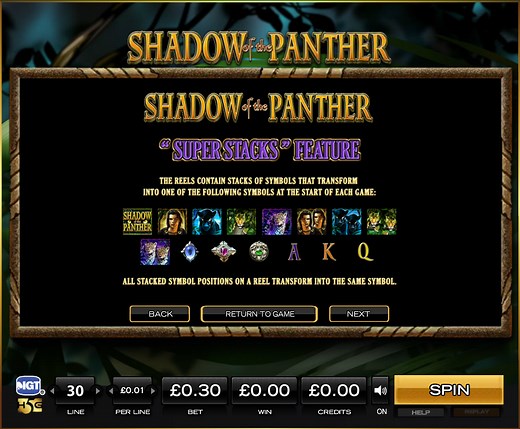 Shadow Of The Panther Slot Game