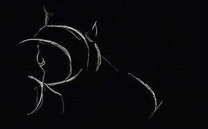 What's the difference between fish loin and fillet? [2025] | QAQooking.wiki