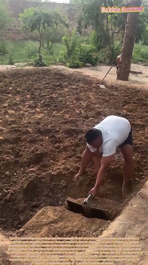 La technique du travail du sol : ameublir la terre à l'aide d'une houe à large lame