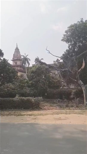 #06 campus ||BHU •• BHU FILES