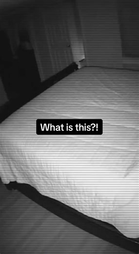 Sometimes these videos are explained away. Sometimes they’re not. CCTV footage, strange encounters, unexplained entities, creatures caught on camera, night recordings, backyard sightings, abandoned places, shadow figures, cryptids, Bigfoot, skinwalkers, things that don’t belong — all in one place. If you’re into real horror, paranormal clips, and found footage that feels wrong even after rewatching, you’re not alone. #cctv #realfootage #tiktokhorrors #paranormal #unexplained