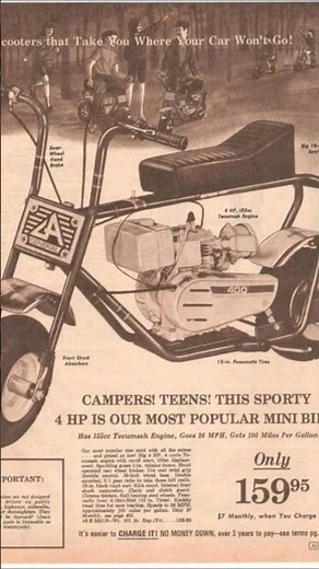 Top Vintage Mini Bikes That Still Turn Heads 🚀 #MinibikeMadness"