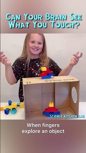 The Mystery Box Sensory Challenge | STEM Activity