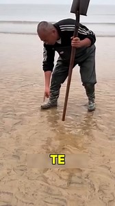 14K views · 8.9K reactions | Navaja marina | Fumigadora San Jose CR | Facebook