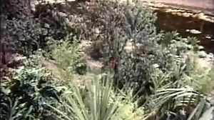 The Challenge 1970 TV Movie