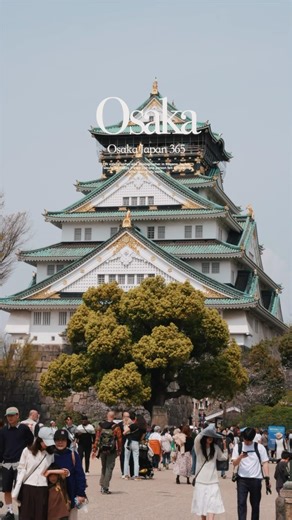はじめての大阪城、人がたくさんいて賑やかだった。桜も咲いてて綺麗だった｜大阪府大阪市🏯🌸#大阪府 #大阪城 #観光スポット #japantravel #osakajapan