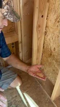 How to Prevent Mold: Clean Your Walls Before Insulation