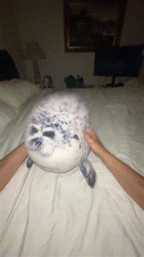 #samtheseal (SAM PLUSH AND MERCH IN BOI) | Plush