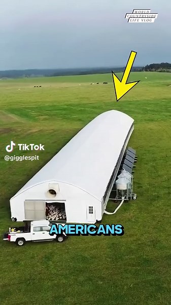 Automated Range Coop: Revolutionizing Mobile Chicken Farming