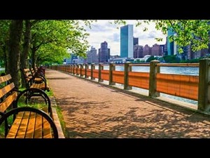 How to get contact no of guest (Booking.com Partner)