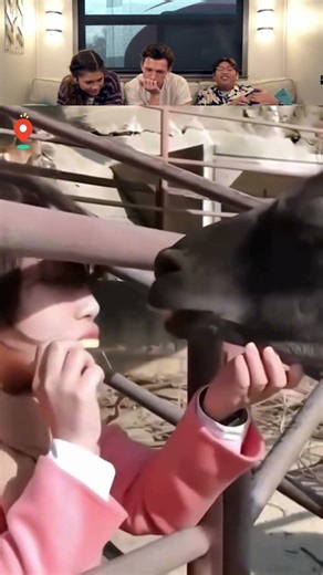 #funnyvideos #funny #viral #fyp