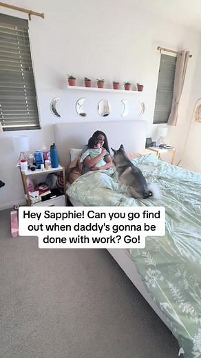 Sapphie the Translator Part 4: Smart Dog Fun