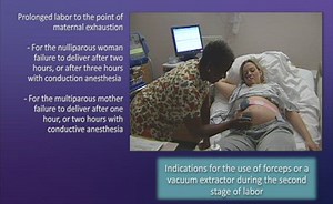 Sorry, we have encountered a problem. - Alexander Street, a ProQuest Company